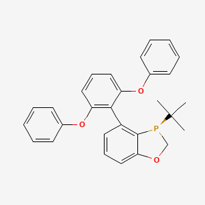 CAS 2446042-08-4